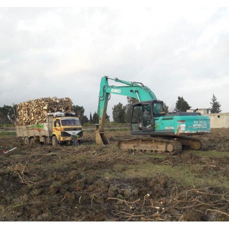 Orchard Tree Felling and Root Grubbing Services